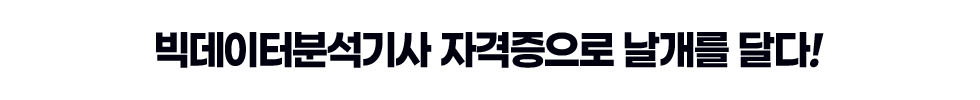 빅데이터분석기사 자격증으로 날개를 달다!