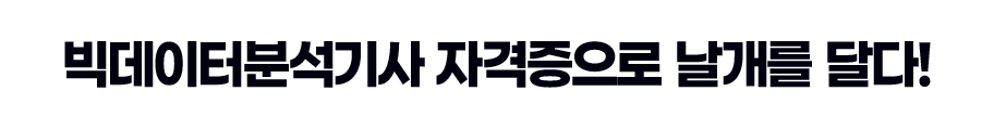빅데이터분석기사 자격증으로 날개를 달다!