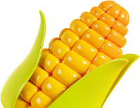 옥수수